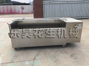 坚果除杂清洗机械