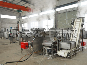 鹰嘴豆酱生产线